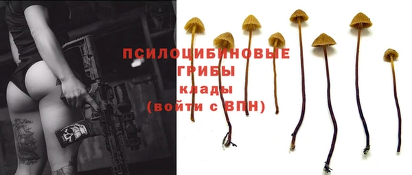 кокс Алексин